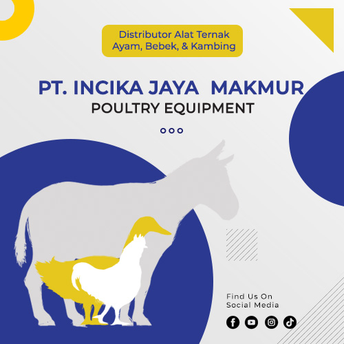 profil – INCIKA 2